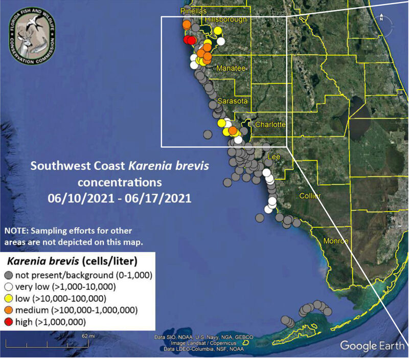 Pinellas continues red tide cleanup on local waterways